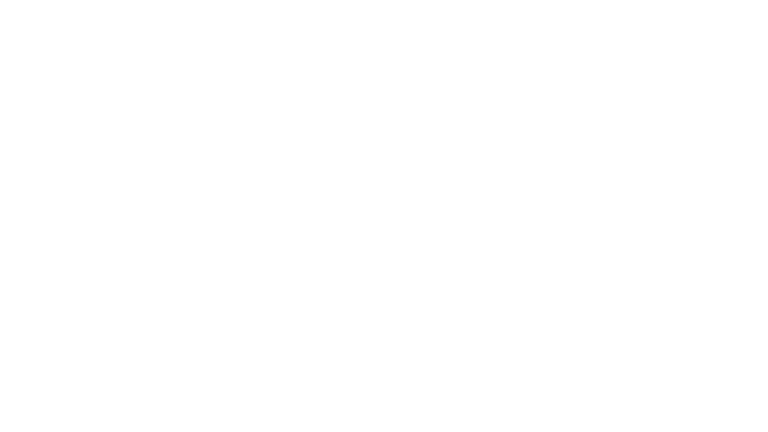 ESSENTIAL EFFECTS AND TRANSITIONS SPORTS EDITION