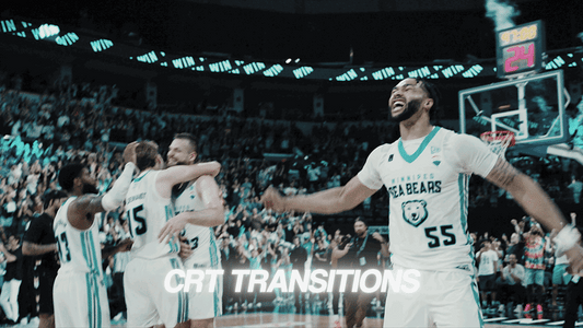 CRT EFFECTS & TRANSITIONS [PREMIERE PRO]